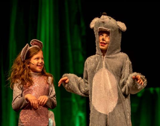Mice in Nutcracker Prince Play for Kids